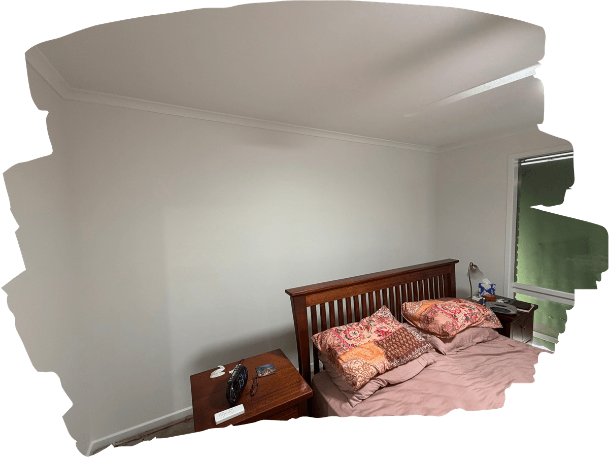 Professional plaster repair services